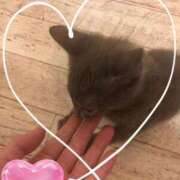 ヒメ日記 2026/01/27 17:46 投稿 白雪（しらゆき） 熟女の風俗最終章 名古屋店