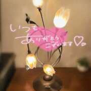 ヒメ日記 2026/01/31 22:12 投稿 白雪（しらゆき） 熟女の風俗最終章 名古屋店