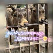 ヒメ日記 2026/03/19 23:02 投稿 白雪（しらゆき） 熟女の風俗最終章 名古屋店