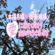 ヒメ日記 2026/04/08 04:02 投稿 白雪（しらゆき） 熟女の風俗最終章 名古屋店