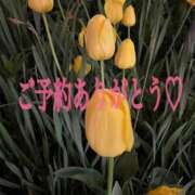 ヒメ日記 2026/05/08 17:52 投稿 白雪（しらゆき） 熟女の風俗最終章 名古屋店