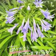 ヒメ日記 2026/07/05 22:02 投稿 白雪（しらゆき） 熟女の風俗最終章 名古屋店