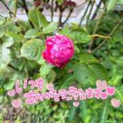 ヒメ日記 2026/08/17 01:32 投稿 白雪（しらゆき） 熟女の風俗最終章 名古屋店