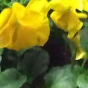 ヒメ日記 2024/12/17 10:10 投稿 夜風（よかぜ） 熟女の風俗最終章 名古屋店