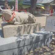 ヒメ日記 2025/04/18 18:40 投稿 夜風（よかぜ） 熟女の風俗最終章 名古屋店