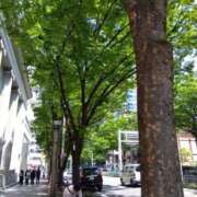 ヒメ日記 2025/04/27 16:30 投稿 夜風（よかぜ） 熟女の風俗最終章 名古屋店