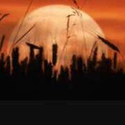 ヒメ日記 2025/10/07 11:41 投稿 夜風（よかぜ） 熟女の風俗最終章 名古屋店