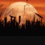 夜風（よかぜ） 出勤致しました👋 熟女の風俗最終章 名古屋店