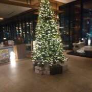 ヒメ日記 2025/12/24 17:02 投稿 夜風（よかぜ） 熟女の風俗最終章 名古屋店