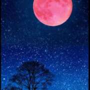 ヒメ日記 2026/02/27 21:52 投稿 夜風（よかぜ） 熟女の風俗最終章 名古屋店