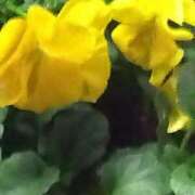 ヒメ日記 2026/03/06 17:45 投稿 夜風（よかぜ） 熟女の風俗最終章 名古屋店