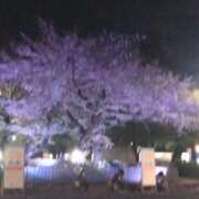 ヒメ日記 2026/03/21 20:22 投稿 夜風（よかぜ） 熟女の風俗最終章 名古屋店