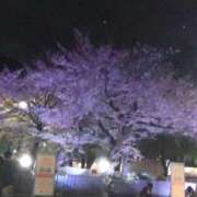 ヒメ日記 2026/03/27 17:23 投稿 夜風（よかぜ） 熟女の風俗最終章 名古屋店