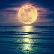 ヒメ日記 2026/03/30 02:02 投稿 夜風（よかぜ） 熟女の風俗最終章 名古屋店