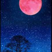 ヒメ日記 2026/03/31 18:22 投稿 夜風（よかぜ） 熟女の風俗最終章 名古屋店