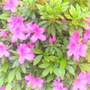 夜風（よかぜ） 出勤致しました👋 熟女の風俗最終章 名古屋店