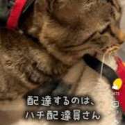ヒメ日記 2026/07/07 18:42 投稿 夜風（よかぜ） 熟女の風俗最終章 名古屋店