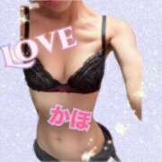 ヒメ日記 2024/12/26 21:50 投稿 かほ先生 DANDY BODY