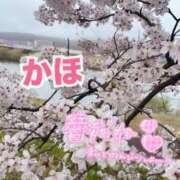 ヒメ日記 2025/04/21 12:33 投稿 かほ先生 DANDY BODY