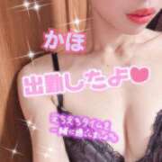 ヒメ日記 2025/08/18 23:50 投稿 かほ先生 DANDY BODY