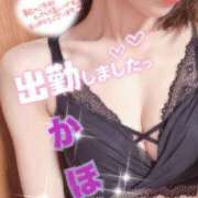 ヒメ日記 2026/01/29 19:25 投稿 かほ先生 DANDY BODY