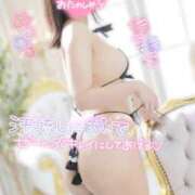 ヒメ日記 2025/07/28 15:07 投稿 ねね スイカ