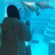 ヒメ日記 2026/02/28 17:22 投稿 ゆう 大牟田デリヘル倶楽部