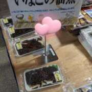 ヒメ日記 2024/09/20 15:00 投稿 つばき 逢って30秒で即尺