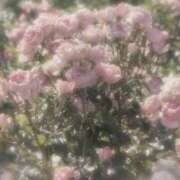 ヒメ日記 2025/02/13 13:51 投稿 ひかり プールサイド新橋店