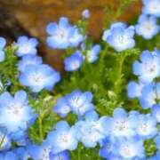 ヒメ日記 2024/12/16 21:41 投稿 ういろ 宇都宮発～正統派清楚系デリヘル！ CHERIMO（シェリモ）