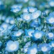 ヒメ日記 2024/12/19 16:02 投稿 ういろ 宇都宮発～正統派清楚系デリヘル！ CHERIMO（シェリモ）