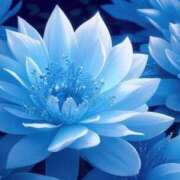 ヒメ日記 2024/12/22 14:02 投稿 ういろ 宇都宮発～正統派清楚系デリヘル！ CHERIMO（シェリモ）