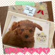 ヒメ日記 2024/12/15 04:25 投稿 きょうか★ 恵里亜(エリア)