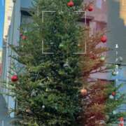 ヒメ日記 2024/12/24 07:00 投稿 きょうか★ 恵里亜(エリア)