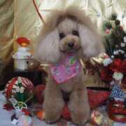 ヒメ日記 2025/01/01 00:00 投稿 きょうか★ 恵里亜(エリア)