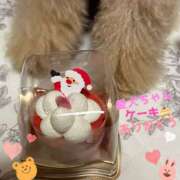 ヒメ日記 2025/12/26 00:30 投稿 きょうか★ 恵里亜(エリア)