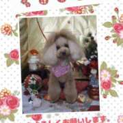 ヒメ日記 2026/01/01 00:00 投稿 きょうか★ 恵里亜(エリア)