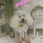 ヒメ日記 2026/01/06 23:49 投稿 きょうか★ 恵里亜(エリア)