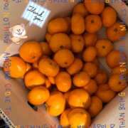 ヒメ日記 2026/01/12 23:25 投稿 きょうか★ 恵里亜(エリア)