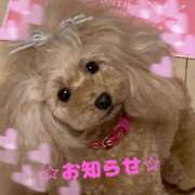 ヒメ日記 2026/02/03 20:33 投稿 きょうか★ 恵里亜(エリア)