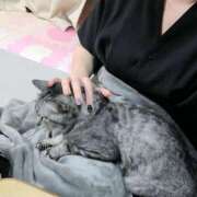 ヒメ日記 2025/07/30 09:39 投稿 しゅう 人妻28