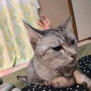 ヒメ日記 2025/08/21 10:09 投稿 しゅう 人妻28