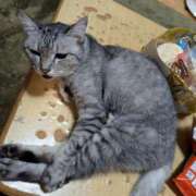 ヒメ日記 2025/08/26 04:27 投稿 しゅう 人妻28