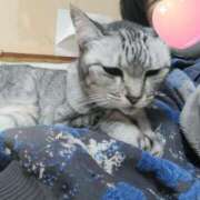 ヒメ日記 2025/10/06 15:01 投稿 しゅう 人妻28