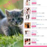 ヒメ日記 2025/11/09 12:02 投稿 しゅう 人妻28