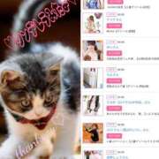 ヒメ日記 2025/11/11 12:01 投稿 しゅう 人妻28