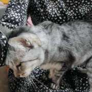 ヒメ日記 2025/12/18 19:53 投稿 しゅう 人妻28