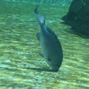 ヒメ日記 2026/05/27 15:06 投稿 ふう NEW GENERATION