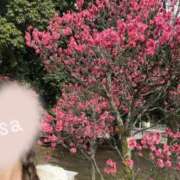 ヒメ日記 2025/03/06 18:00 投稿 美沙(みさ) 梅田泡洗体ハイブリッドエステ