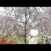 ヒメ日記 2025/05/07 16:30 投稿 美沙(みさ) 梅田泡洗体ハイブリッドエステ